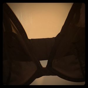 Victoria's Secret sheer Luxe Plunge bra